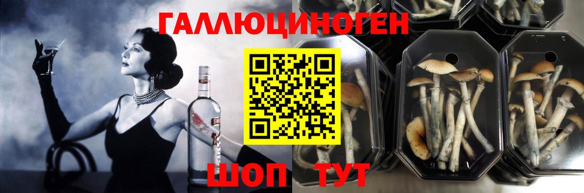 Усинск  Галлюциногенные грибы Psilocybe  Псилоцибиновые грибы Cubensis  Вход с VPN 